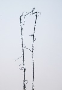 "Filo su tela di lino" (Elena Nonnis)